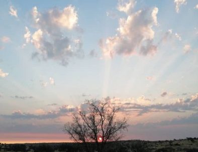k-View Sundowner
